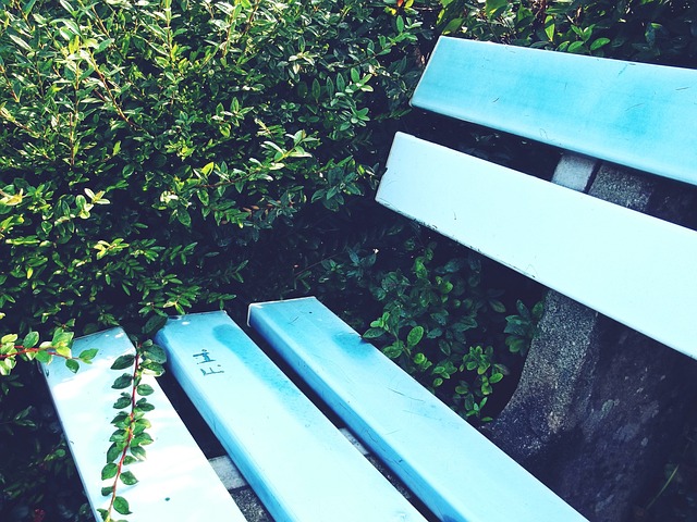 雷迪克：东契奇在并非最佳状态下拿下三双，不可思议的表现