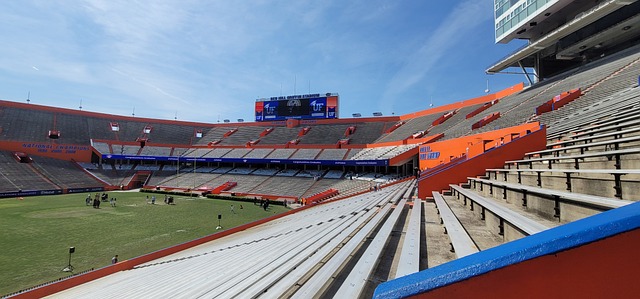 胡梅尔斯：多特中场球员的质量很高，但其风格和特点差异太大